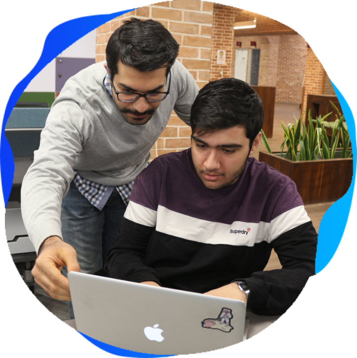 web2gain web developement & design agency